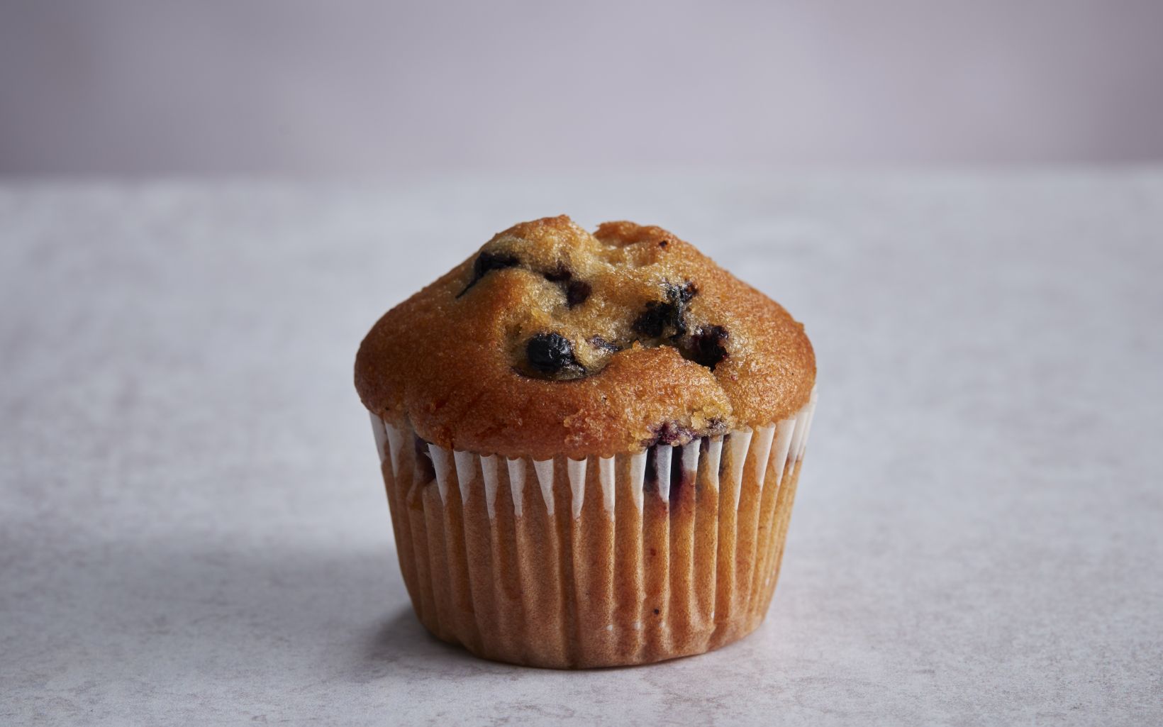 73657 Mini Blueberryn Muffin May24